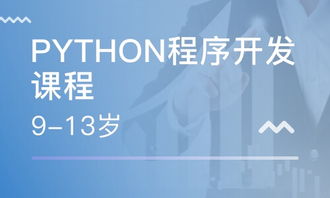 重慶南坪軟件開發培訓指南 課程、選擇與職業發展
